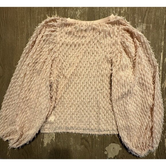 Zara Balloon Sleeve Feather Eyelash Fringe Blouse Top pale pink medium Party - Picture 12 of 13